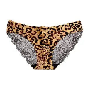 Women Bikini Lingeries Ladies Sexy Lace Transparent Underwear Ice Silk Seamless Leopard Printed Panties