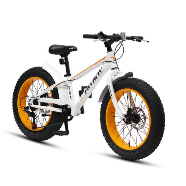 Configurable Options Snow Fat Cycle bike