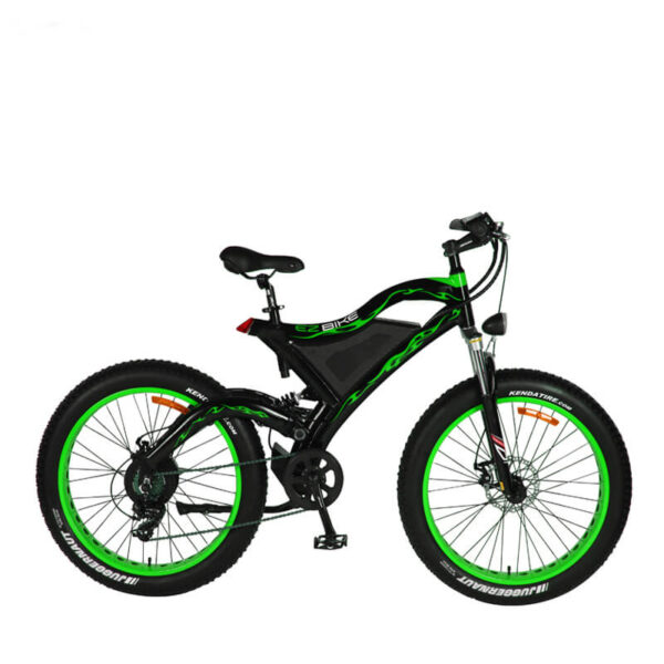 Off Road Powerful 1000w Electric Moutain Bike