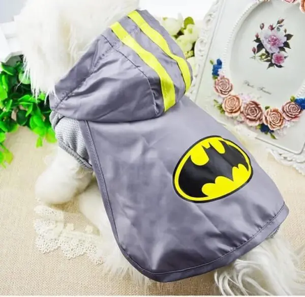 Dog Coats, Pet Clothes With Character & Cap
