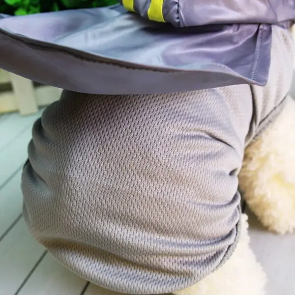 Dog Coats, Pet Clothes With Character & Cap