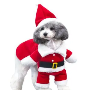 Fashion Pets, Dog and Cat Christmas Clothes