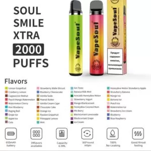 VAPESOUL SMOKING PEN 1500-2000 PUFF - Image 2